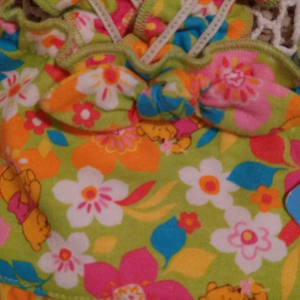 NEW- The Wonderful World of Disney Girls Dress With Winnie the Pooh, 18 months - Picture 3 of 7